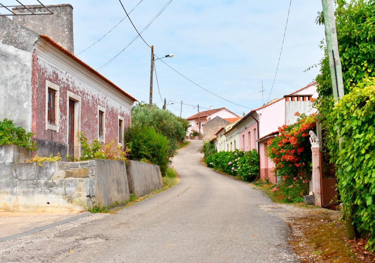 SoureQuintinha Do Outeirinho住宿加早餐旅馆 外观 照片